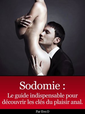 cover image of Sodomie